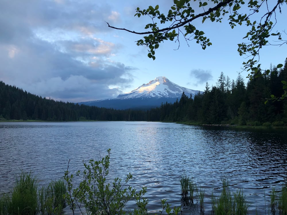 mount hood